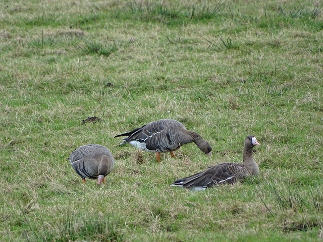 误不仅是对 误不仅是对