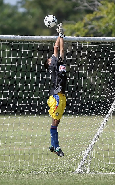 争光的绝佳 争光的绝佳