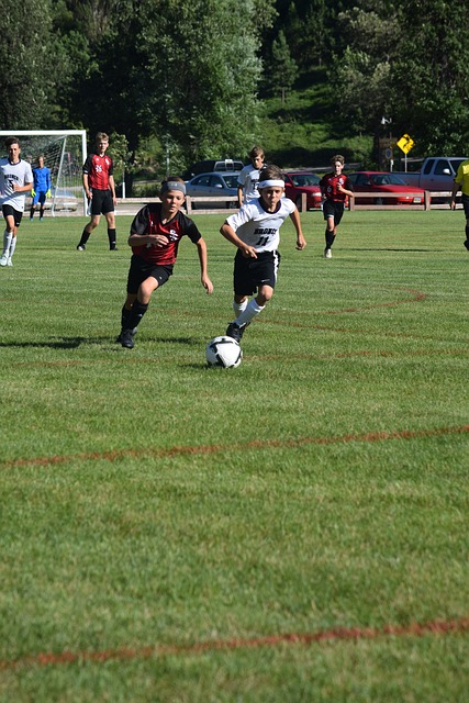 马的未来 马的未来