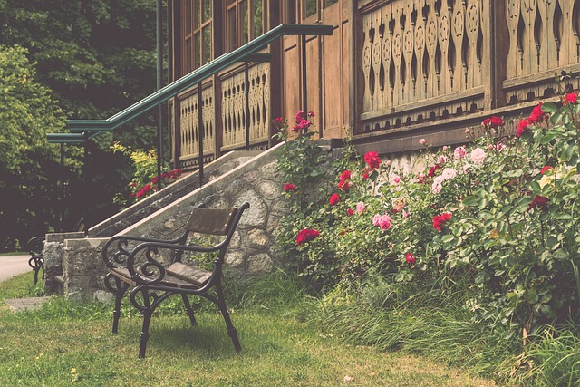 高原主场大 高原主场大