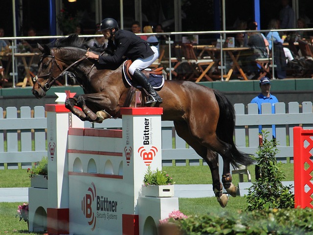 比赛行为规 比赛行为规